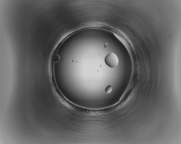 X0000116550843200912101412