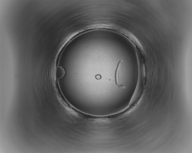 X0000116550844200912101412