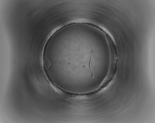 X0000116550845200912101412