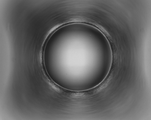 X0000116550846200912101412