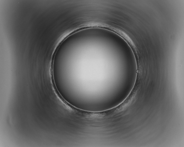 X0000116550847200912101412