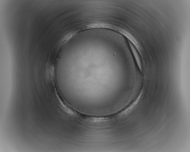 X0000116550849200912101412