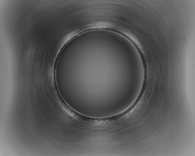 X0000116550850200912101412