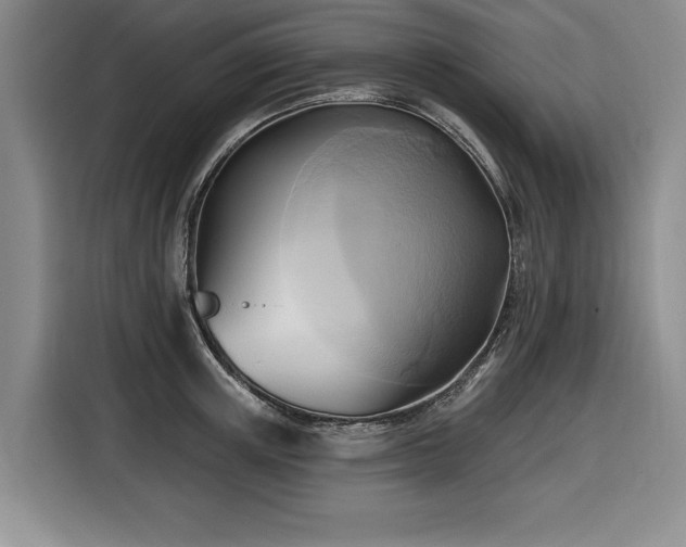 X0000116550851200912101412