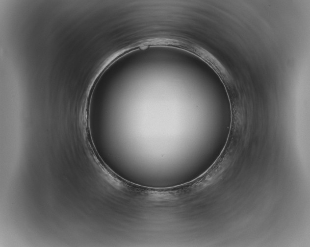 X0000116550852200912101412