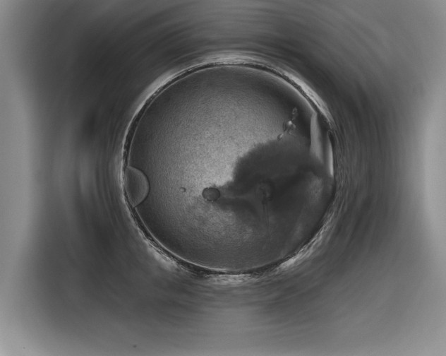 X0000116550853200912101412