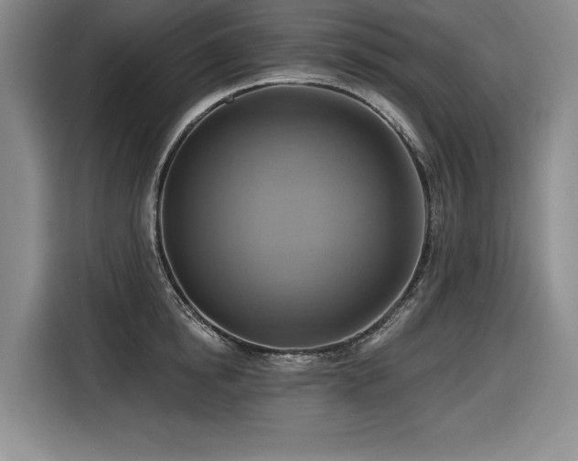 X0000116550854200912101412