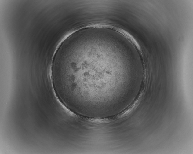 X0000116550855200912101412