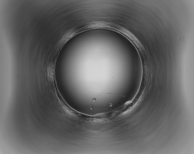 X0000116550857200912101412