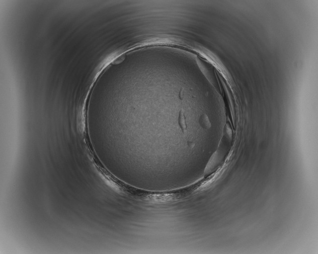 X0000116550858200912101412