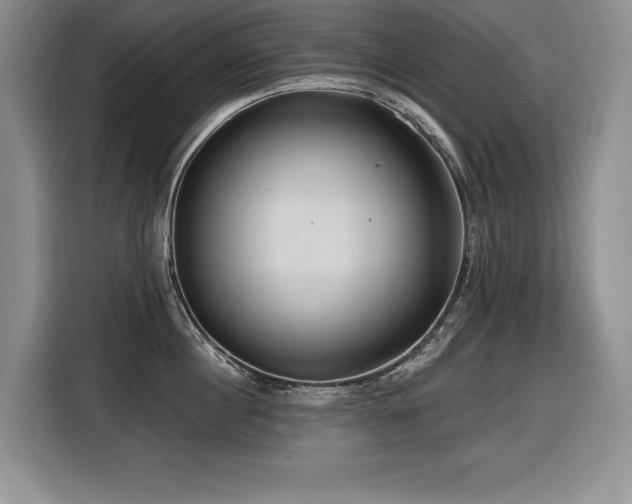 X0000116550860200912101412