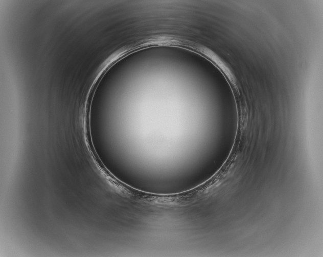 X0000116550861200912101412