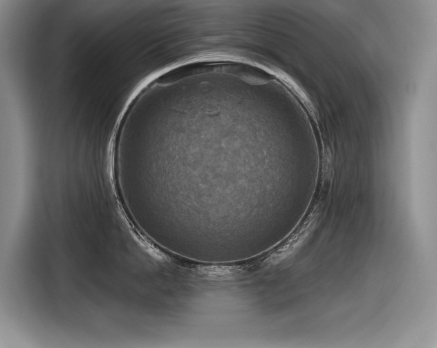 X0000116550862200912101412