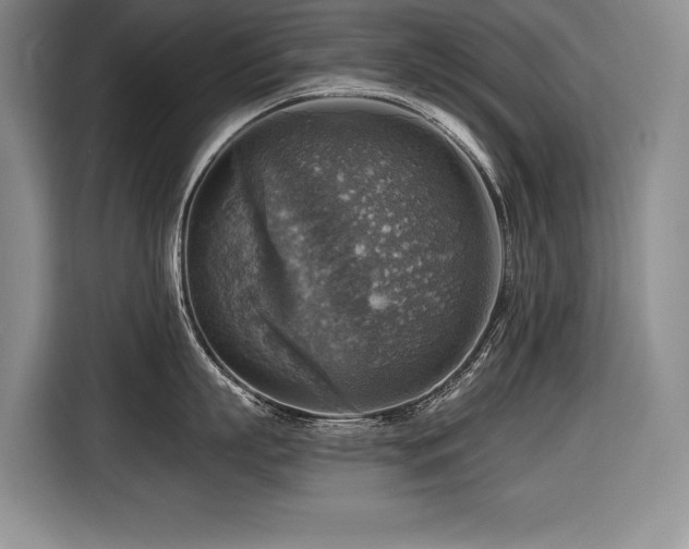 X0000116550863200912101412