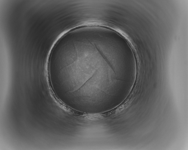 X0000116550864200912101412