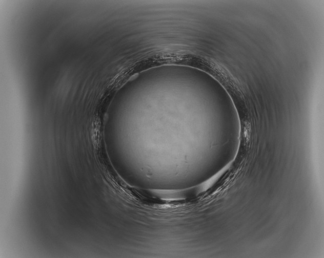 X0000116550867200912101411