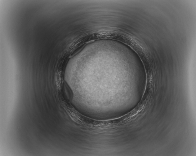 X0000116550868200912101411