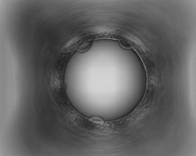 X0000116550869200912101411