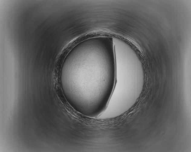 X0000116550872200912101411