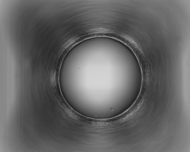 X0000116550873200912101411