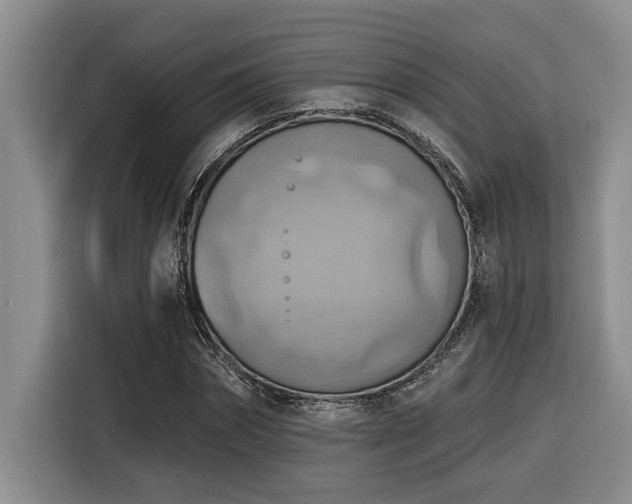 X0000116550874200912101411