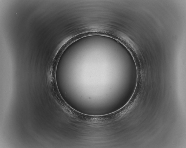 X0000116550875200912101411