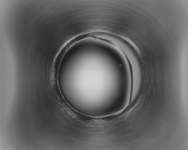 X0000116550878200912101411