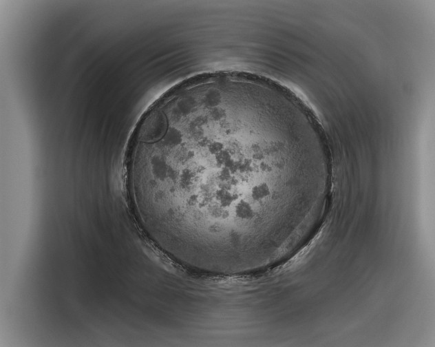 X0000116550879200912101411