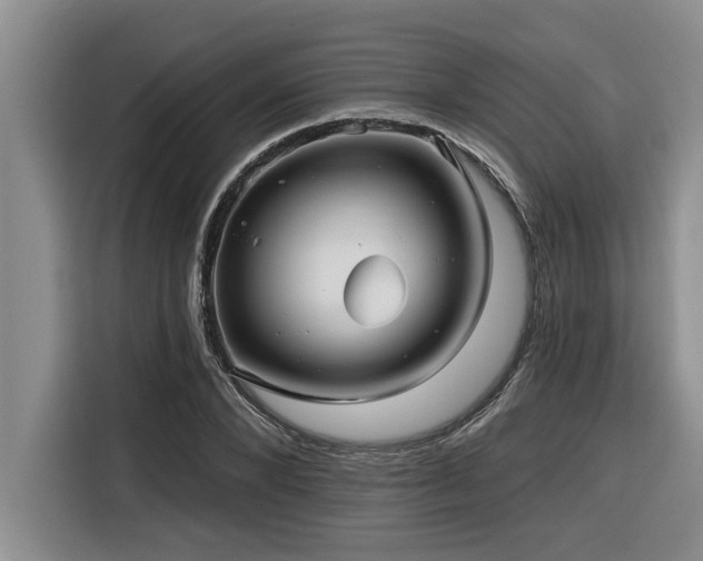 X0000116550880200912101411