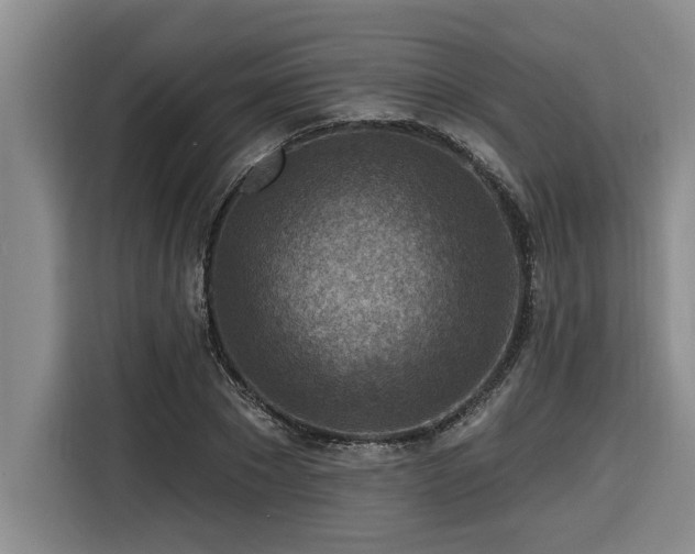 X0000116550881200912101411