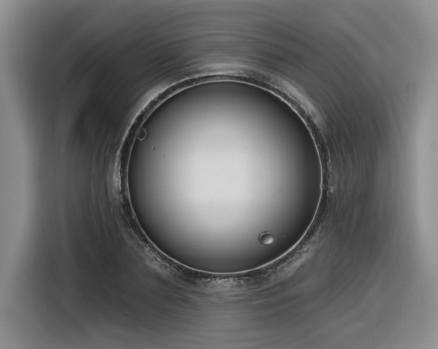 X0000116550883200912101411