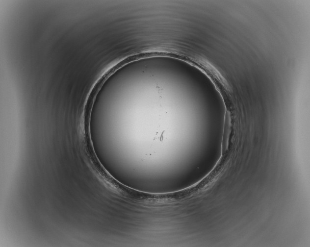 X0000116550884200912101411