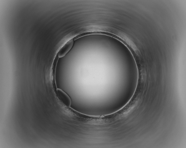 X0000116550885200912101411