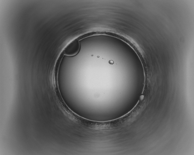 X0000116550887200912101411