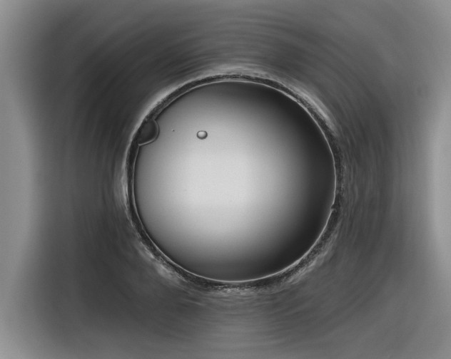 X0000116550888200912101411