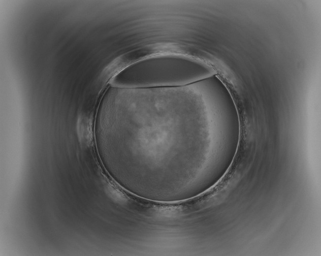 X0000116550889200912101411