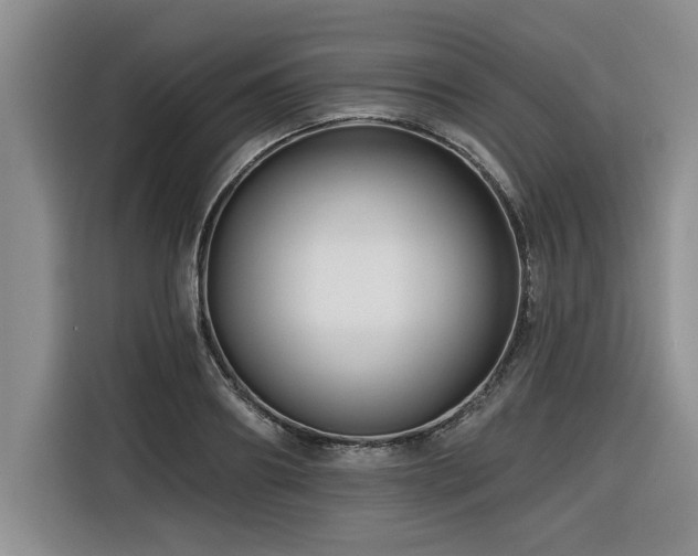 X0000116550890200912101411