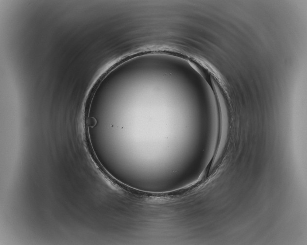 X0000116550894200912101411