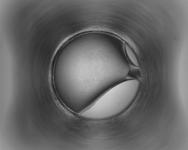 X0000116550896200912101411