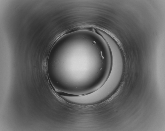 X0000116550897200912101411