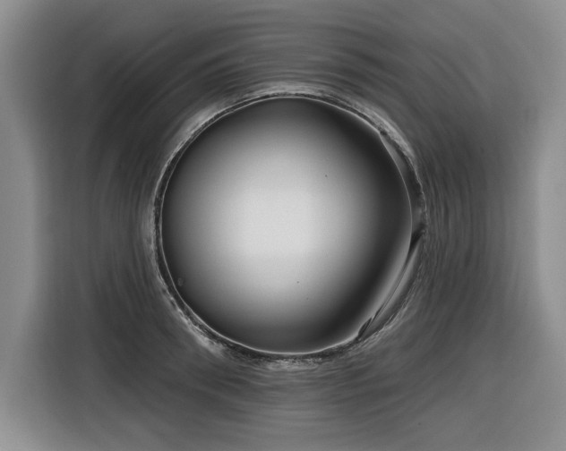 X0000116550898200912101411