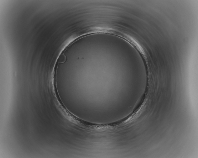 X0000116550899200912101411