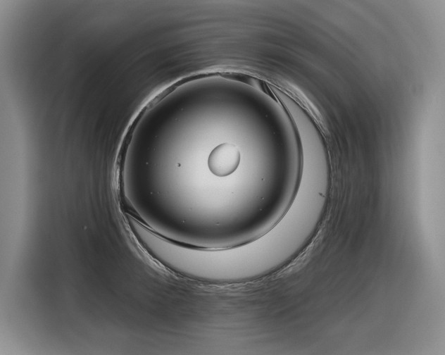 X0000116550900200912101411