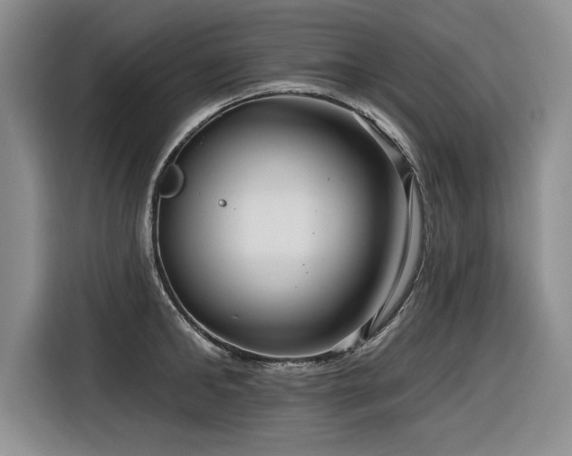 X0000116550902200912101411