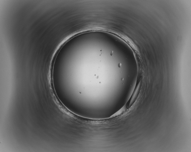 X0000116550904200912101411