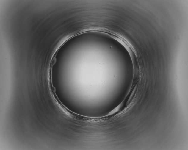 X0000116550906200912101411