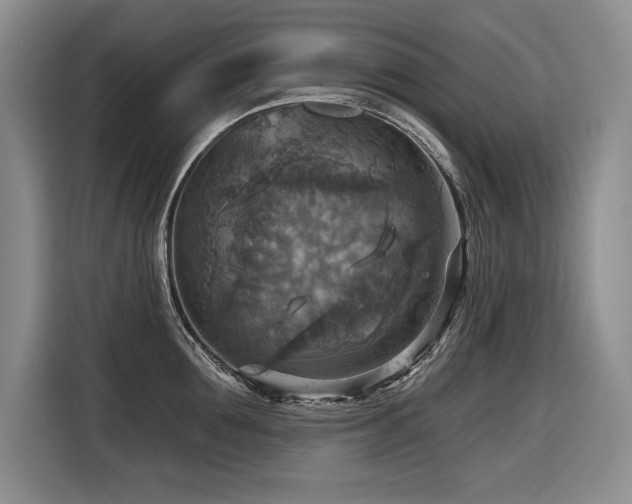 X0000116550907200912101411