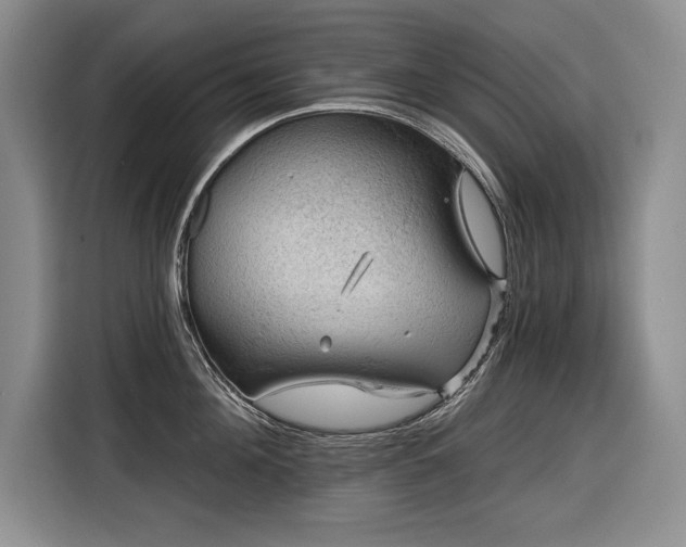 X0000116550908200912101411