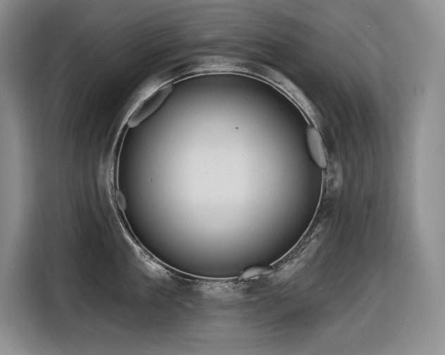 X0000116550909200912101411