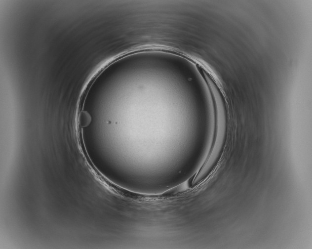 X0000116550910200912101411